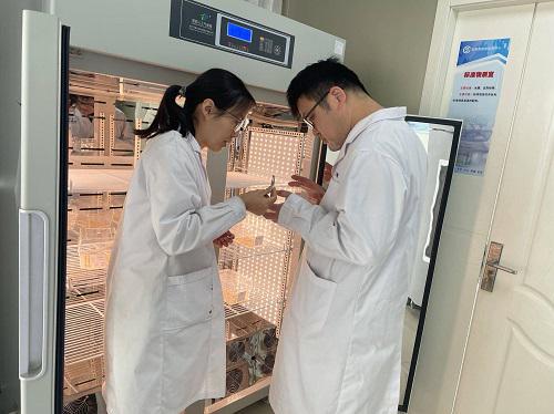 東阿縣檢驗檢測中心順利通過農業農村部全國農作物種子質量檢驗能力驗證，檢驗檢測服務能力再上新臺階