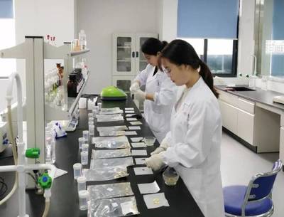 店小二式服務顯成效 企業不出門，服務送上門，市場監管助力企業高質量發展