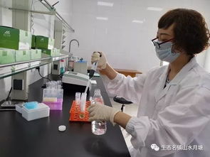 開啟快檢服務，構筑舌尖安全防火墻